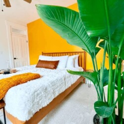 Jungle House Room