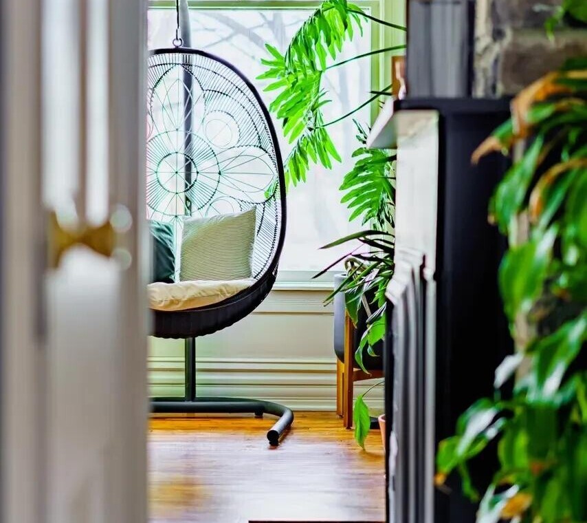 Jungle House Columbus interior with hanging chair and lush tropical plants &mdash; a luxury vacation rental unlike any other