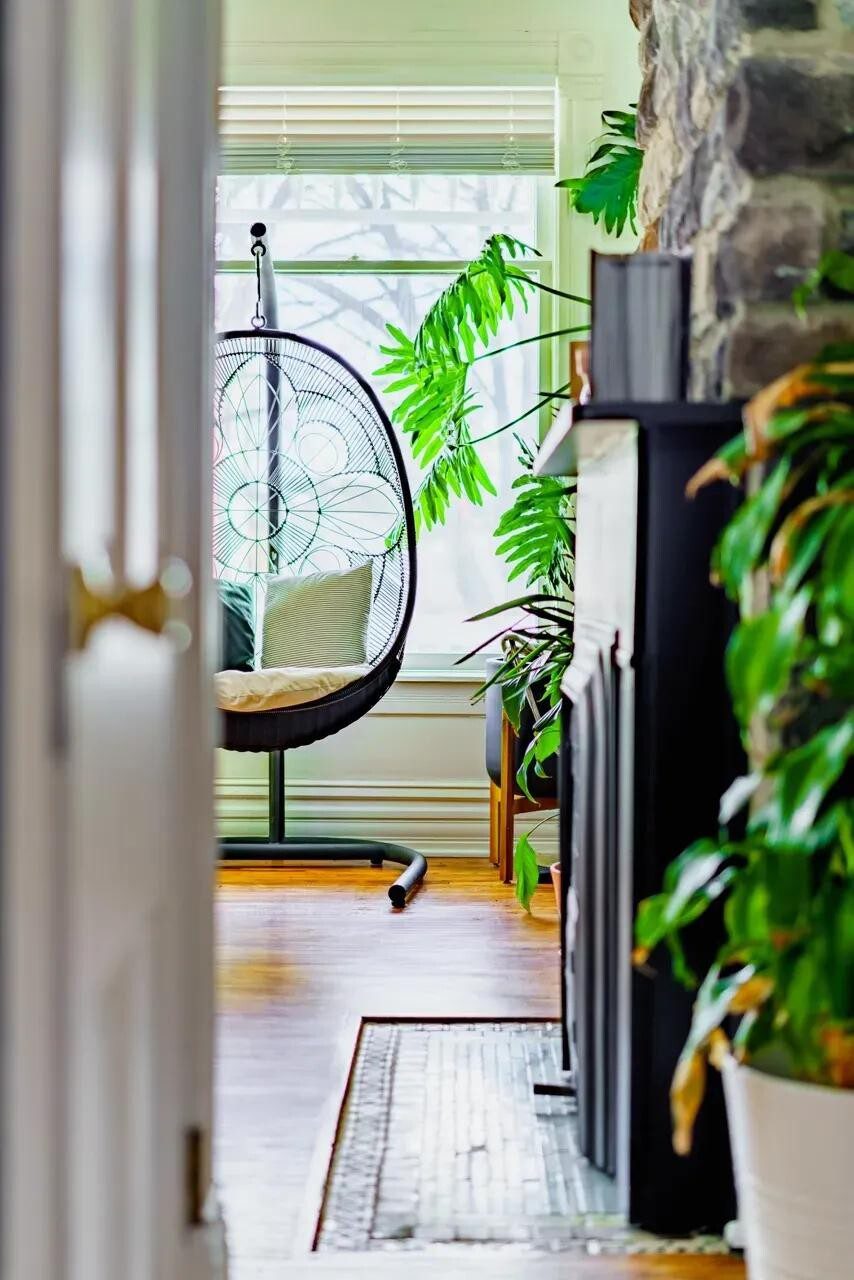 Cozy interior view of a Jungle House property in Columbus, featuring a hanging chair, lush green plants, and a warm wooden floor, emphasizing boutique hospitality and relaxation.